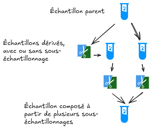 échantillons dérivés.png
